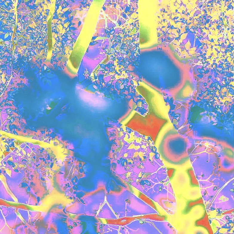 一些通过改色相饱和度对比度的摄影作业