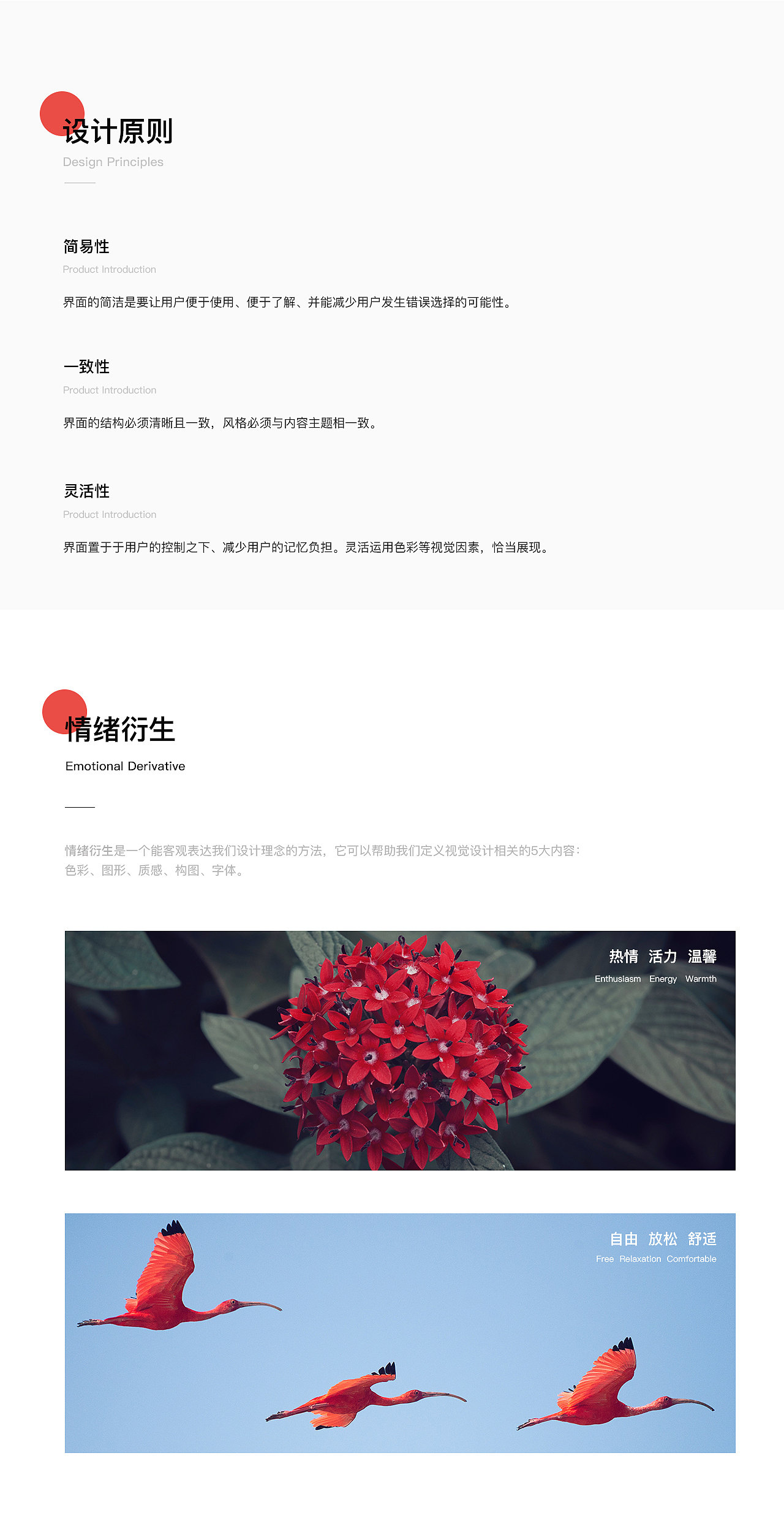 路过APP-旅游分享互动