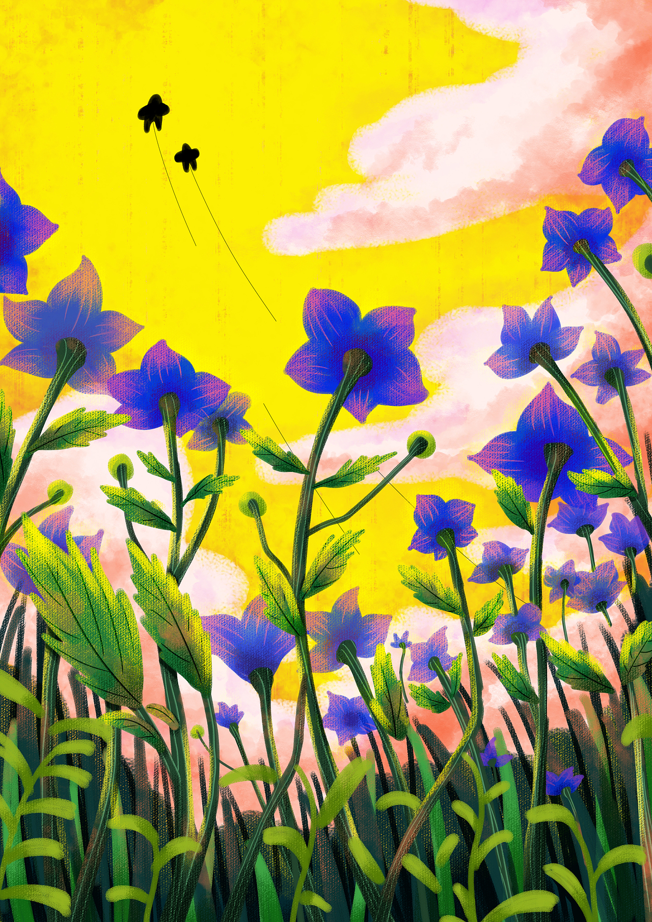 生如夏花|插画|创作习作|内个汪_原创作品-站酷zcool