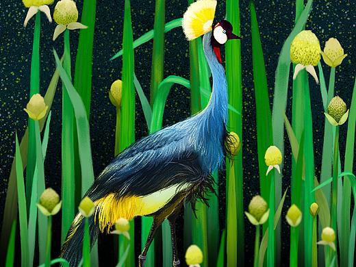 THE BIRD’S RONDEL- 鸟儿回旋曲