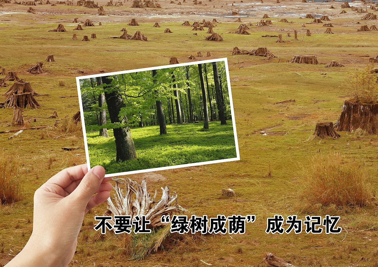 大广赛平面设计作品