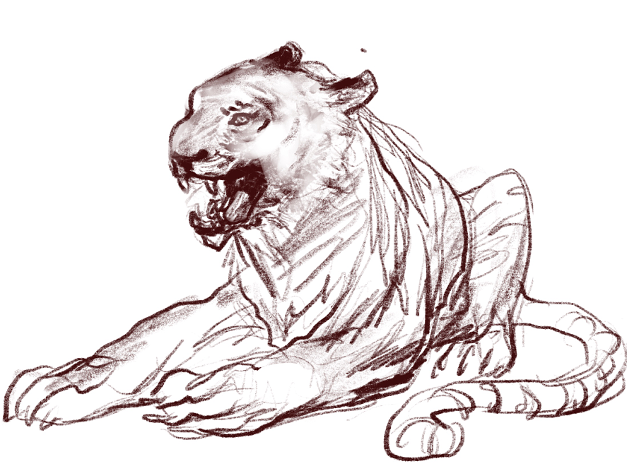 地铁上练习（动物篇）（图ZMTQ4MTk0NjU2） - 创作习作 - 站酷设计师S肚子爱画画D原创素材 - 站酷ZCOOL