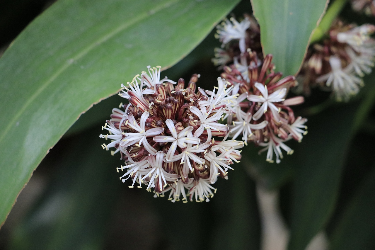 东湖公园之偶遇鸟趣&猫咪（图ZMjQzNjUwNzc2） - 风光摄影 - 站酷设计师飞天猪猫原创素材 - 站酷ZCOOL