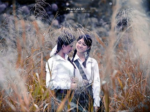 枝（个人主页-ZNTI5MjM0ODA=） - 创作习作 - 站酷设计师南向晚原创素材 - 站酷ZCOOL