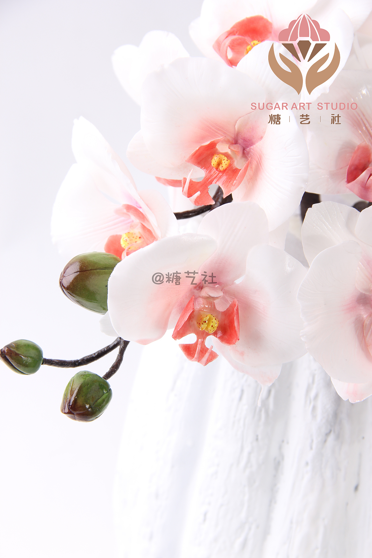 翻糖工艺大师顾碧清老师英式翻糖花作品--蝴蝶兰（图ZMTQxNTM5NzMy） - 工艺品设计 - 站酷设计师糖艺社原创素材 - 站酷ZCOOL