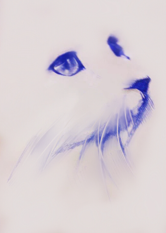 手绘 猫（图ZMTEwNDQ4OTQw） - 绘画 - 站酷设计师圆润的大龙猫原创素材 - 站酷ZCOOL