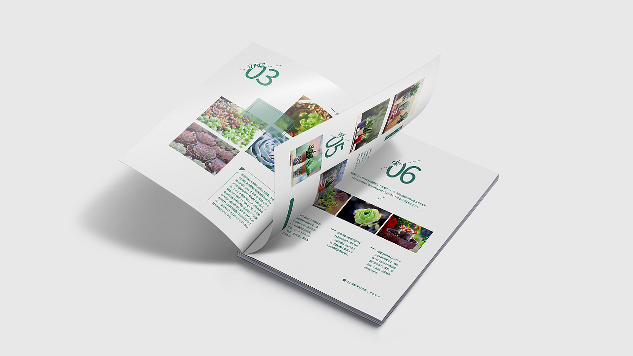 画册（图ZMTcyNzQ2MTky） - 书籍/画册 - 站酷设计师CAONEZERO原创素材 - 站酷ZCOOL