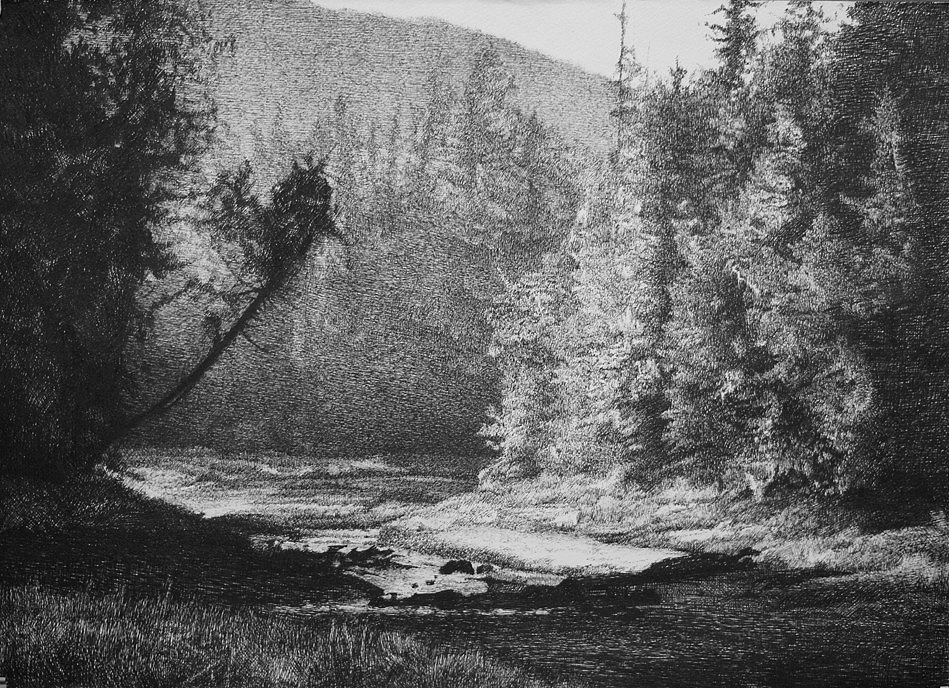 钢笔画-风景和动物