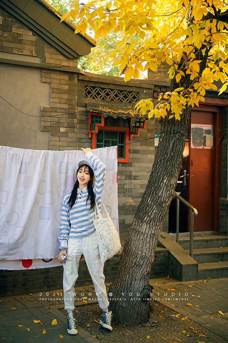 【有映画】11.27