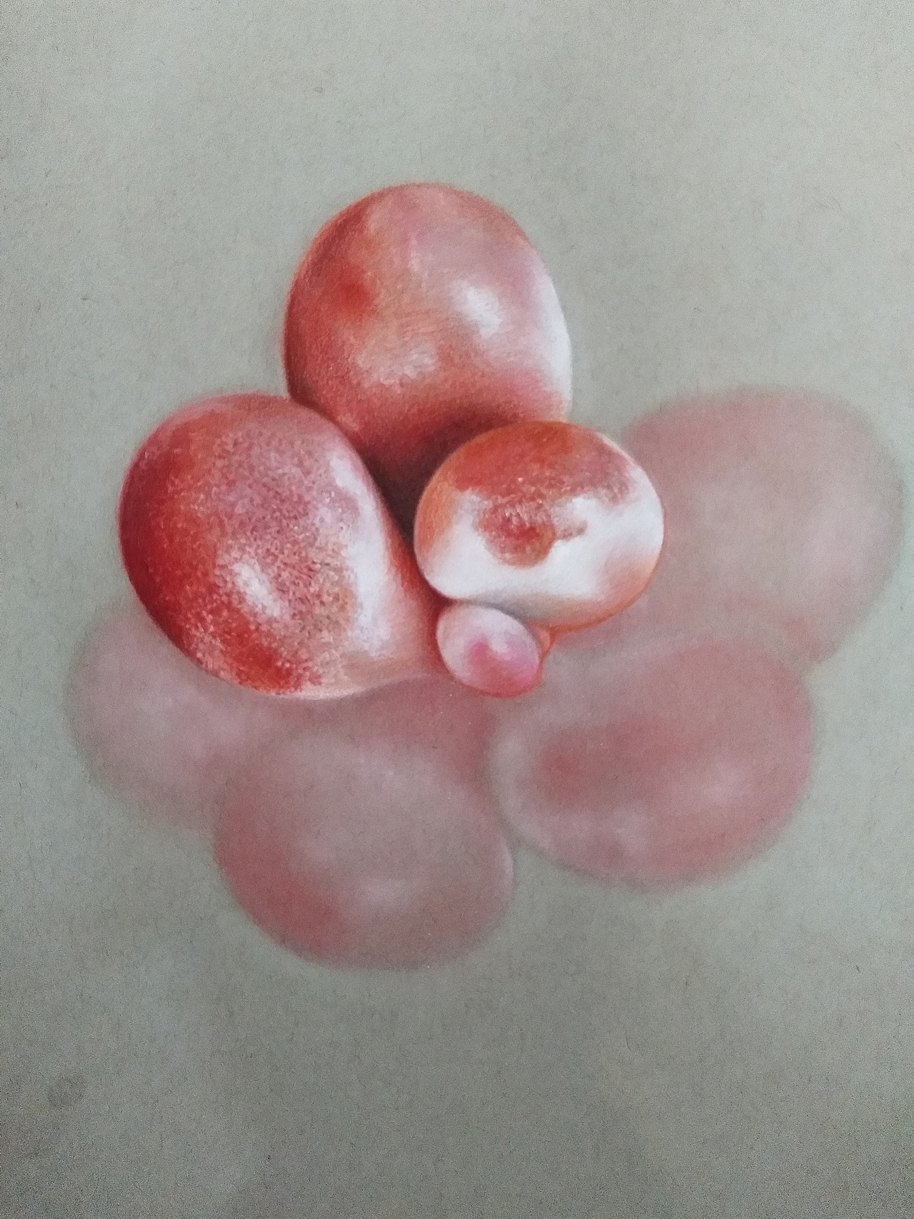 李胜仁 作品（多肉）（图ZMTYzMzAzNzQw） - 绘画 - 站酷设计师李胜仁原创素材 - 站酷ZCOOL