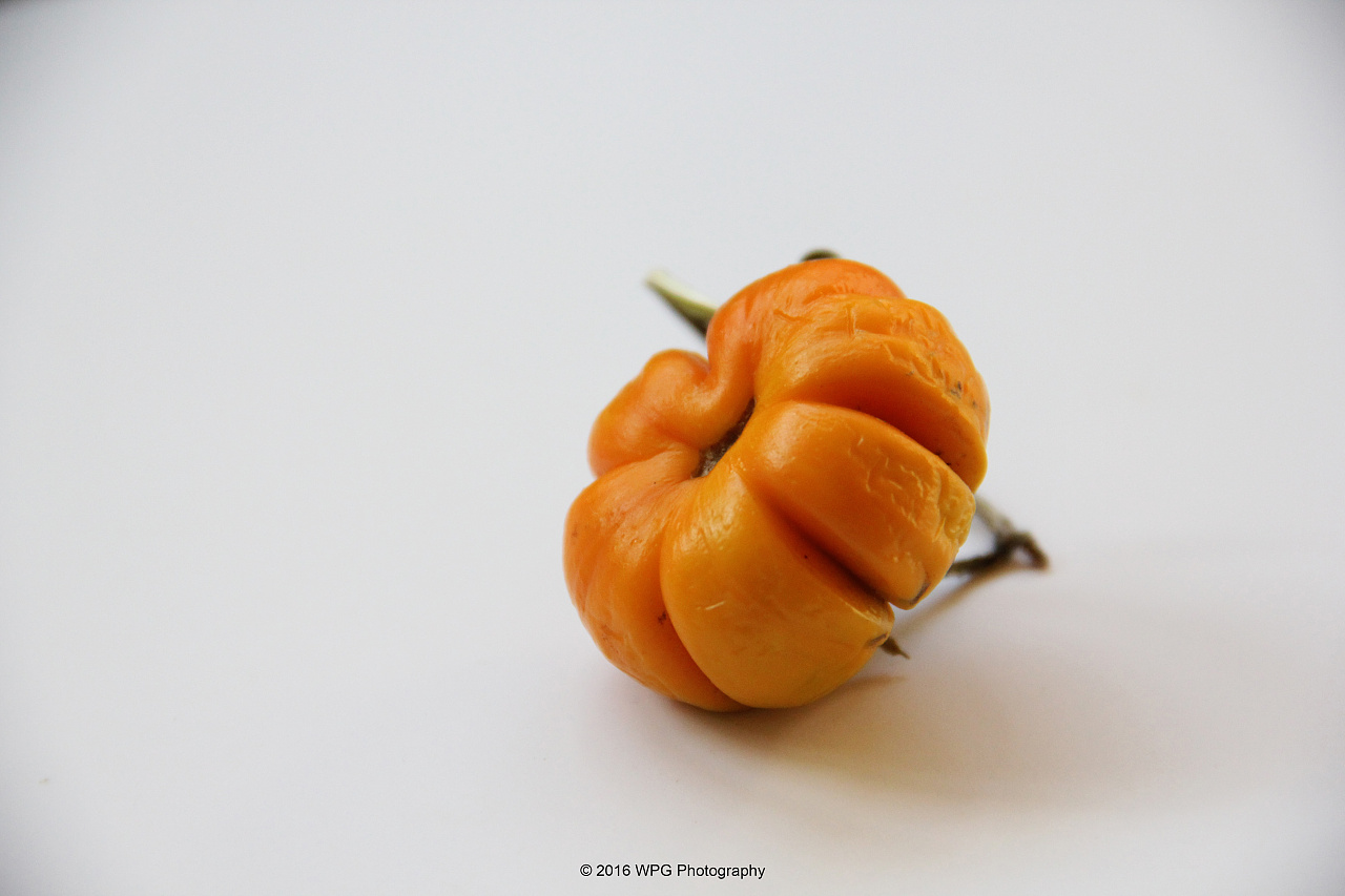 《 茄子南瓜心 》