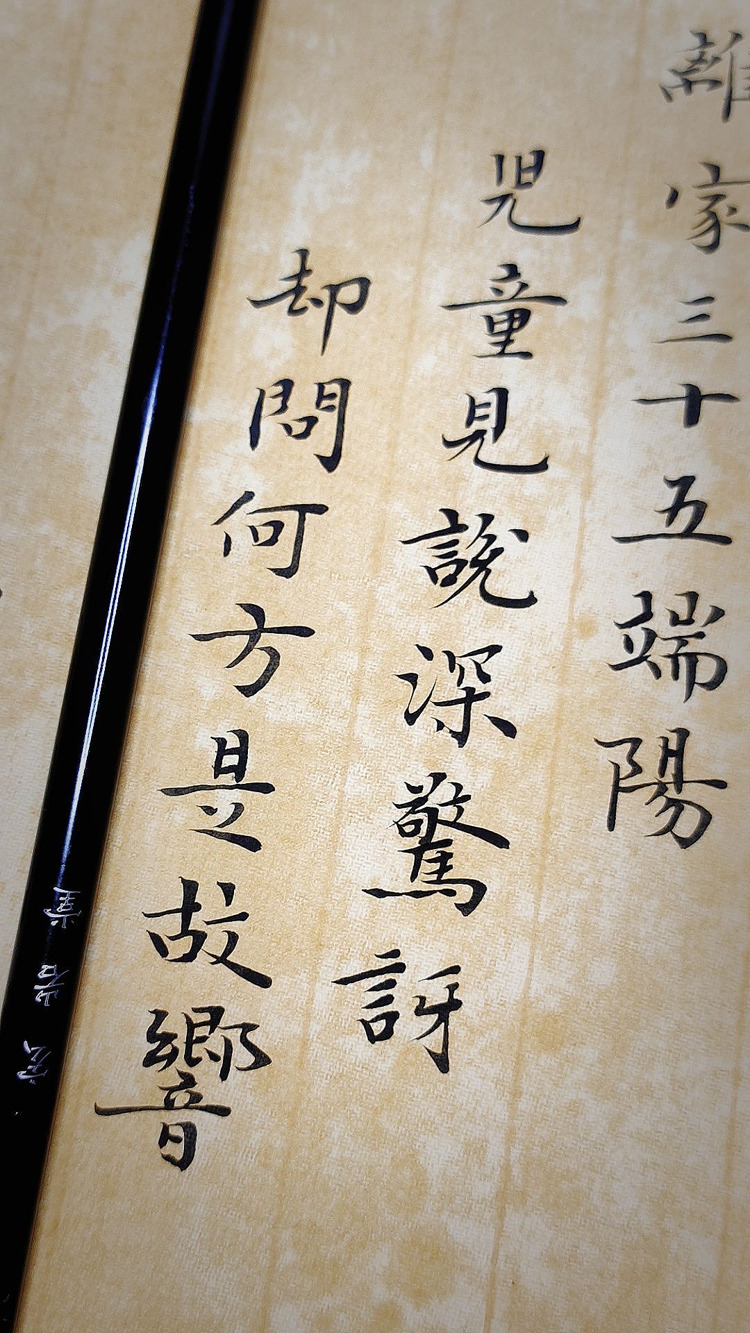 端午不要激动!!!