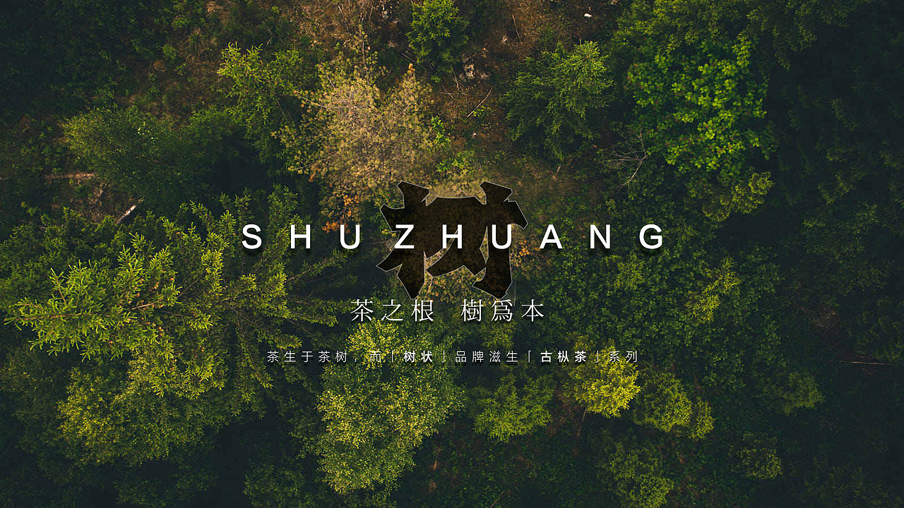 一款古树茶的 标志设计（图ZMjQ1MzE1ODcy） - Logo - 站酷设计师DS丶K原创素材 - 站酷ZCOOL