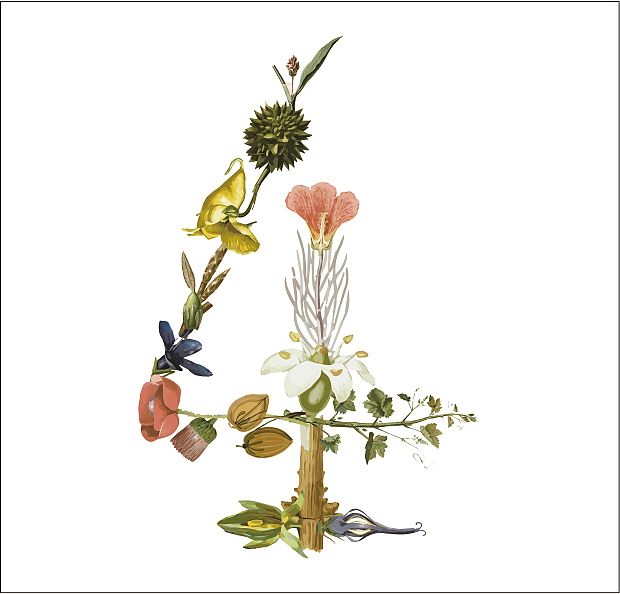 方瀛插画系列一之数字与昆虫（图ZMTEyNTg3NzY=） - 图案 - 站酷设计师方瀛CRain原创素材 - 站酷ZCOOL