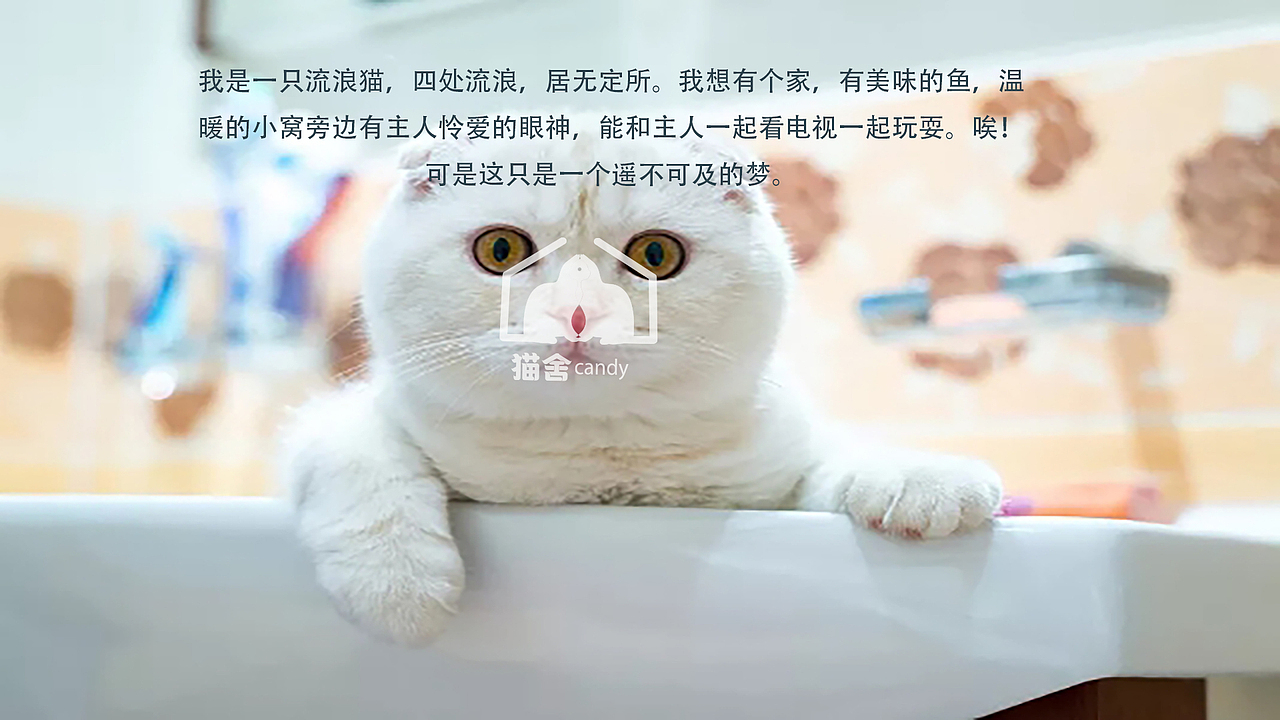 猫舍CAndy/logo设计