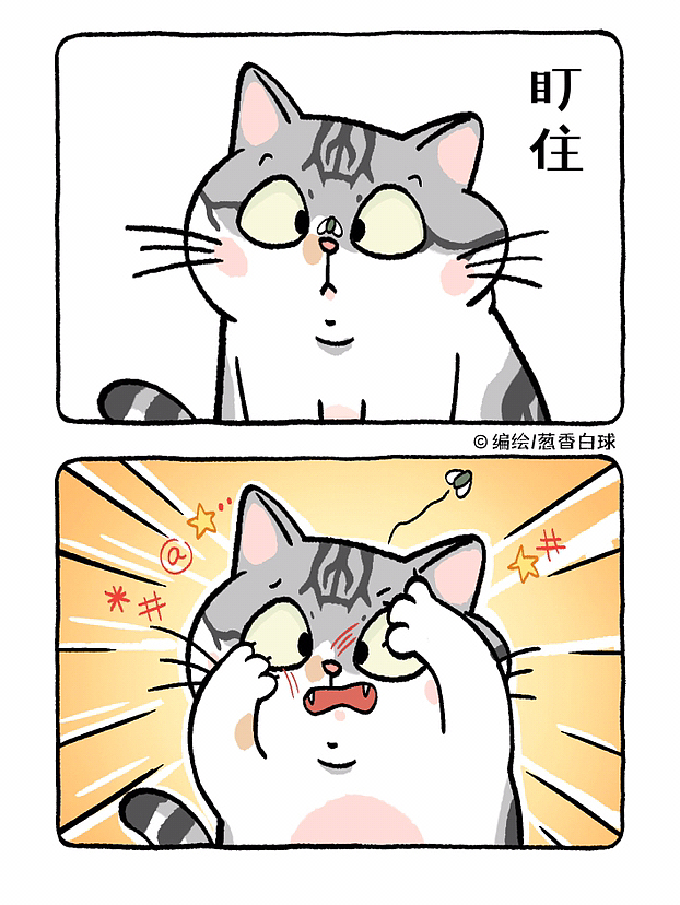 葱香小剧场1（图ZMzMxNzAwNTM2） - 短篇/格漫 - 站酷设计师葱香白球原创素材 - 站酷ZCOOL