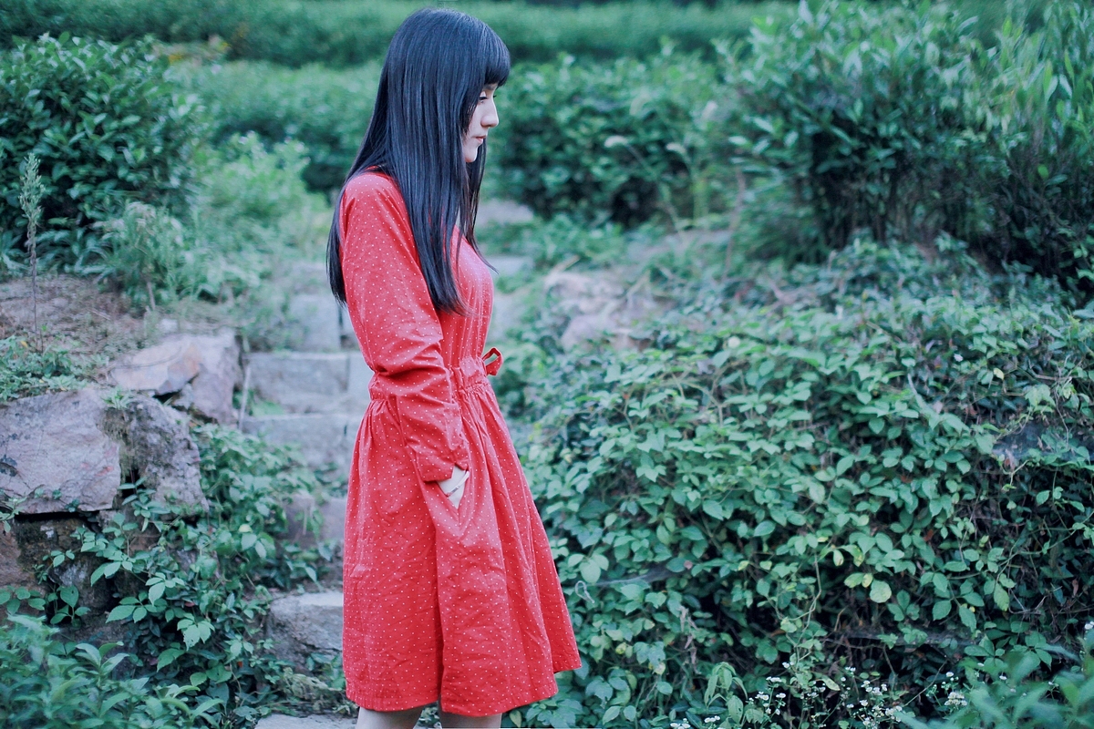 回忆总会在不经意间出现