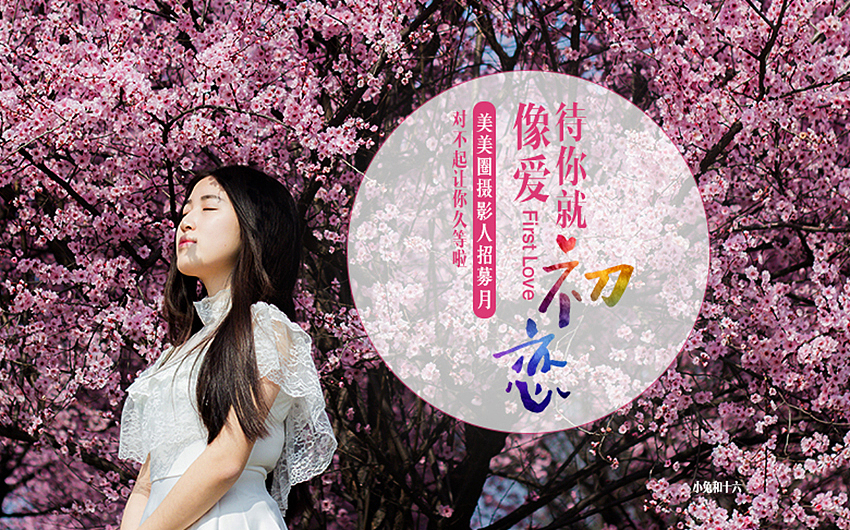 美美圈线上线下宣传设计（图ZMzU1Nzk4NzY=） - 品牌 - 站酷设计师紫虞鸢蓝原创素材 - 站酷ZCOOL