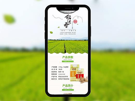 稻花香大米詳情頁（個人主頁-ZMzgxMzIxOTI=） - 海報 - 站酷設計師_____蠍原創(chuàng)素材 - 站酷ZCOOL