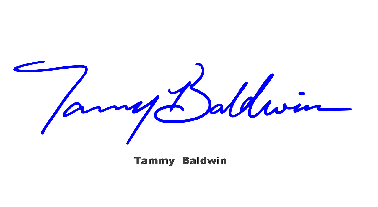 英文签名丨signature logo丨英文手写标志设计