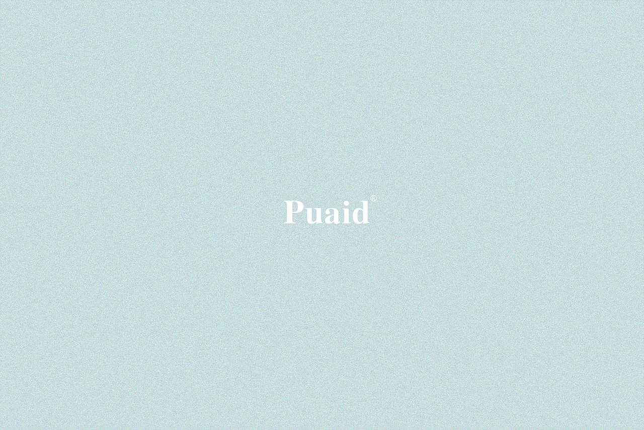 至“臻”至美 —— Puaid