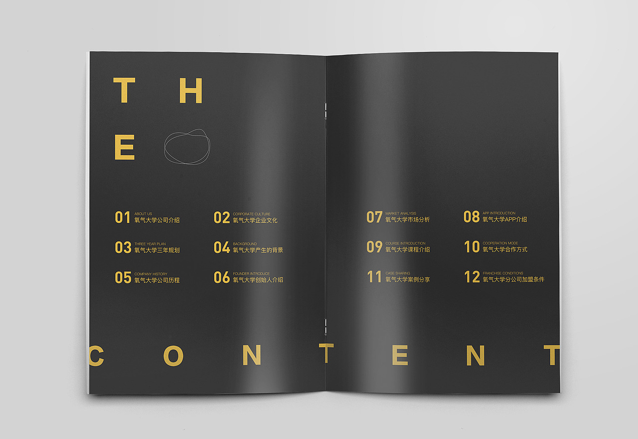 2020年度项目总结