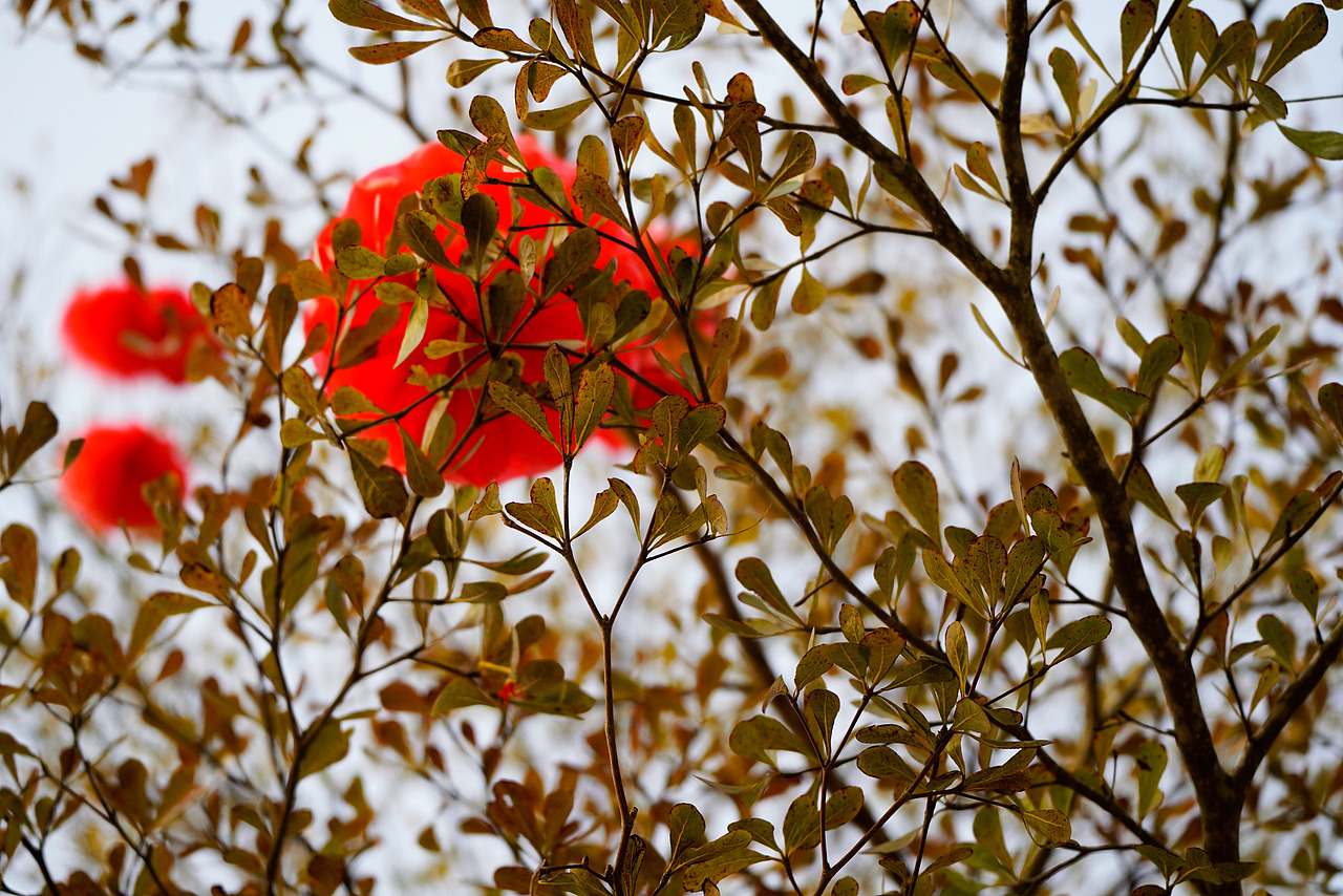 户外风光摄影-生活中处处是美景