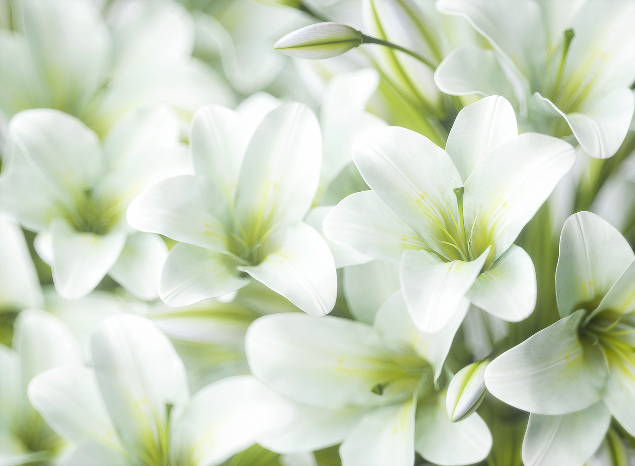 2021 · 春 · 日练