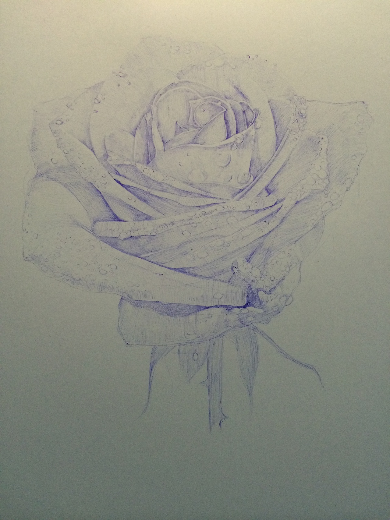 【蓝色妖姬】圆珠笔绘画---(受oy的影响也喜欢尝试一些有趣的东西