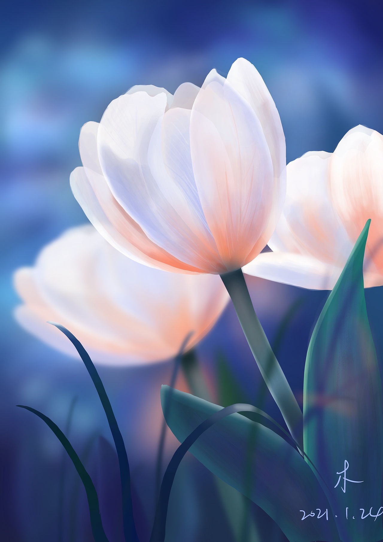 月光下的花 procreate练习