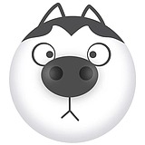 Mr_Doya的头像