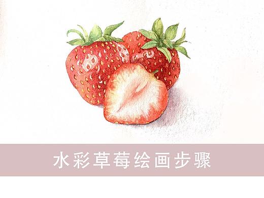 水彩插画 草莓绘画教程分享