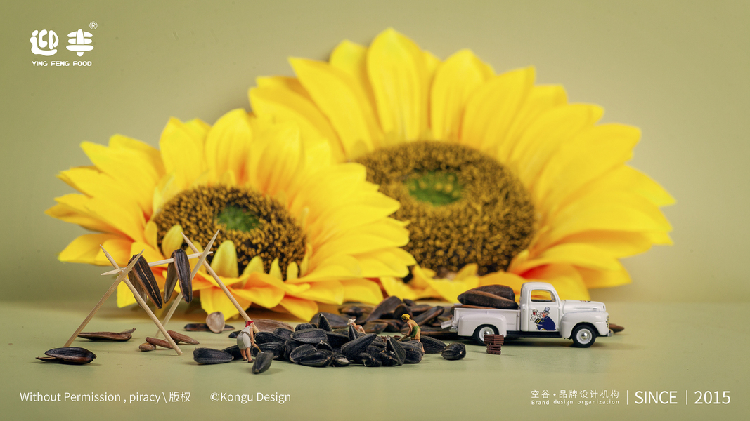 微缩摄影