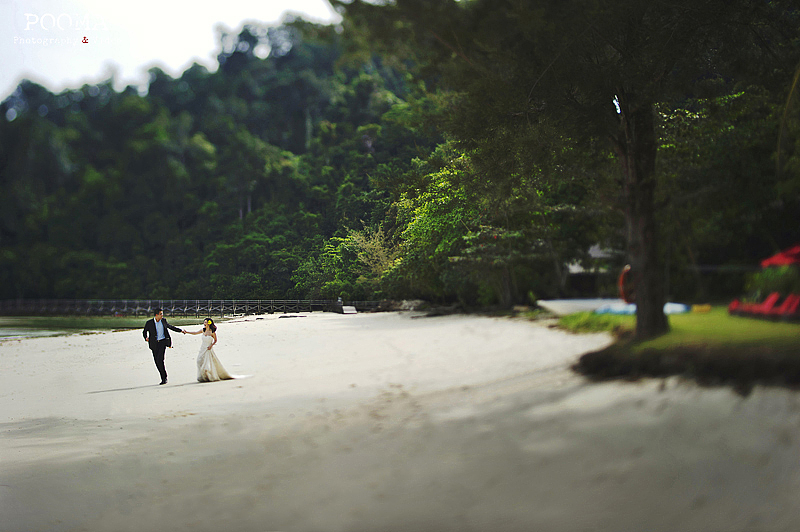 马来西亚婚纱旅拍 (二)