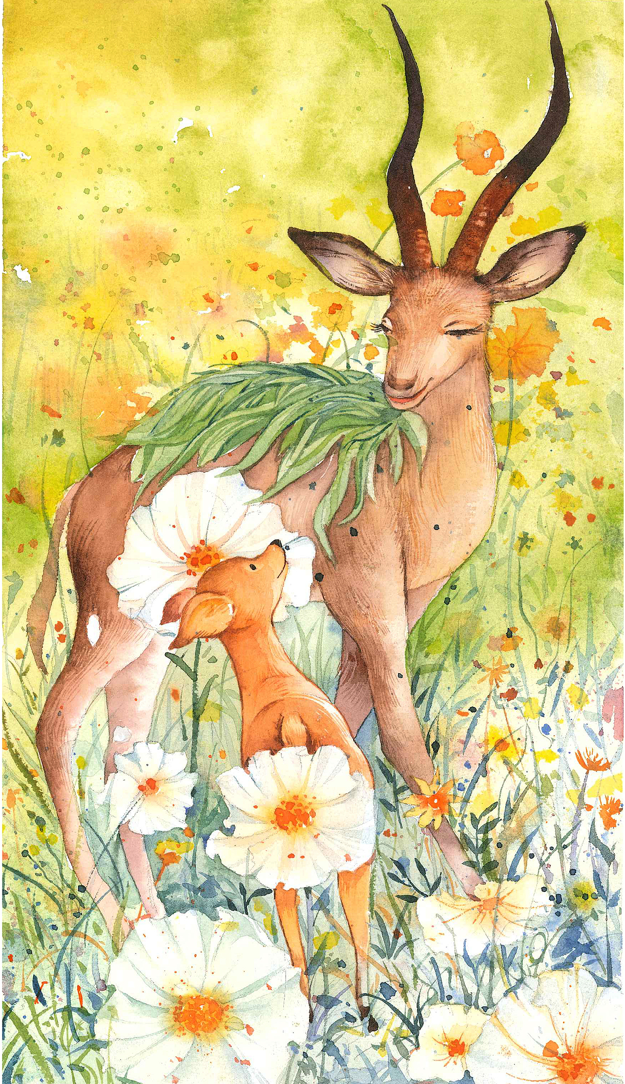 故事插图会飞的小鹿