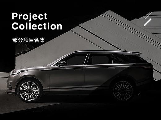 Project  Collection