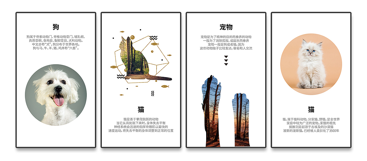 装饰画一组（图ZMTc4MTY3OTY4） - 宣传物料 - 站酷设计师K_Ysparrow原创素材 - 站酷ZCOOL