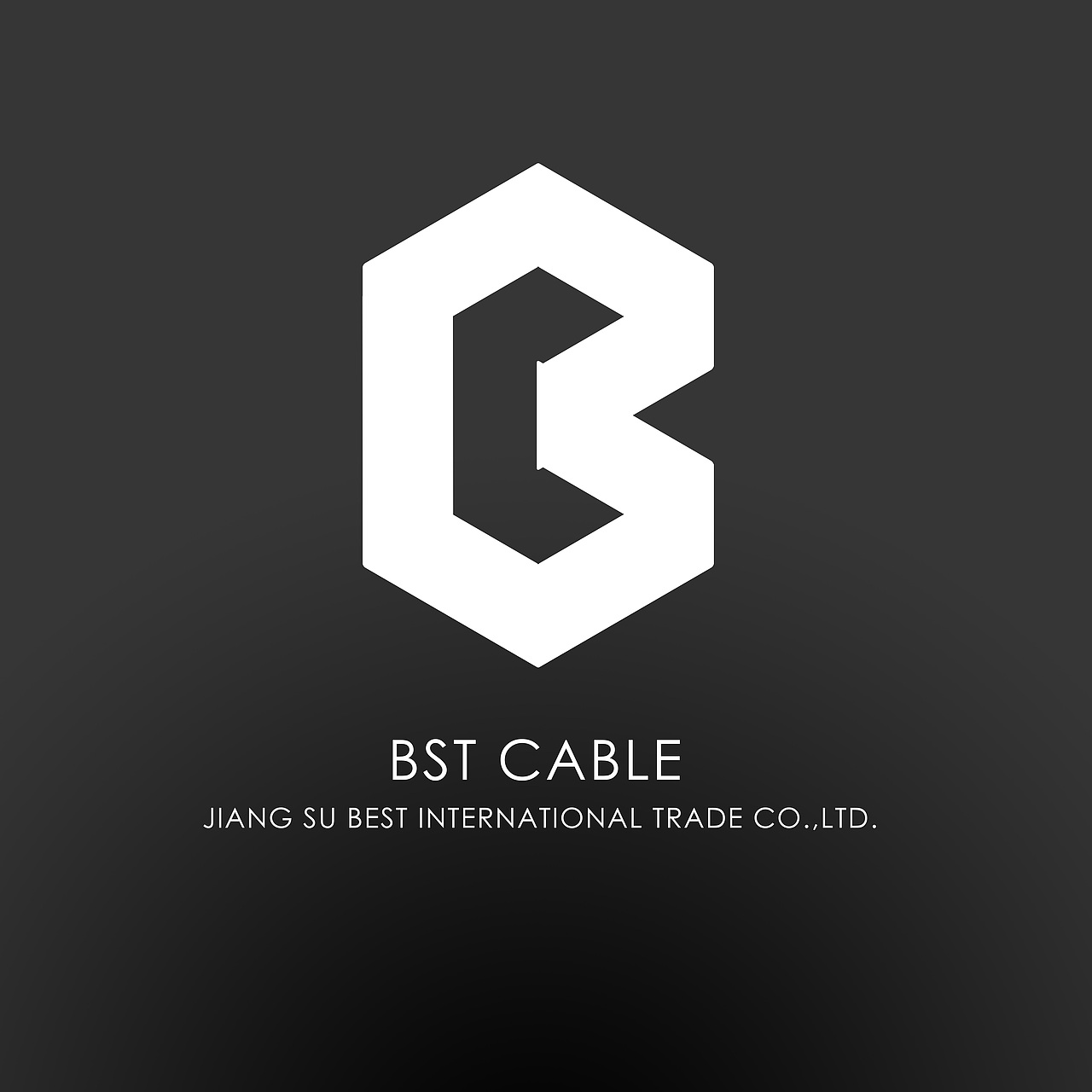 企业logo变更bstcable初稿字母b