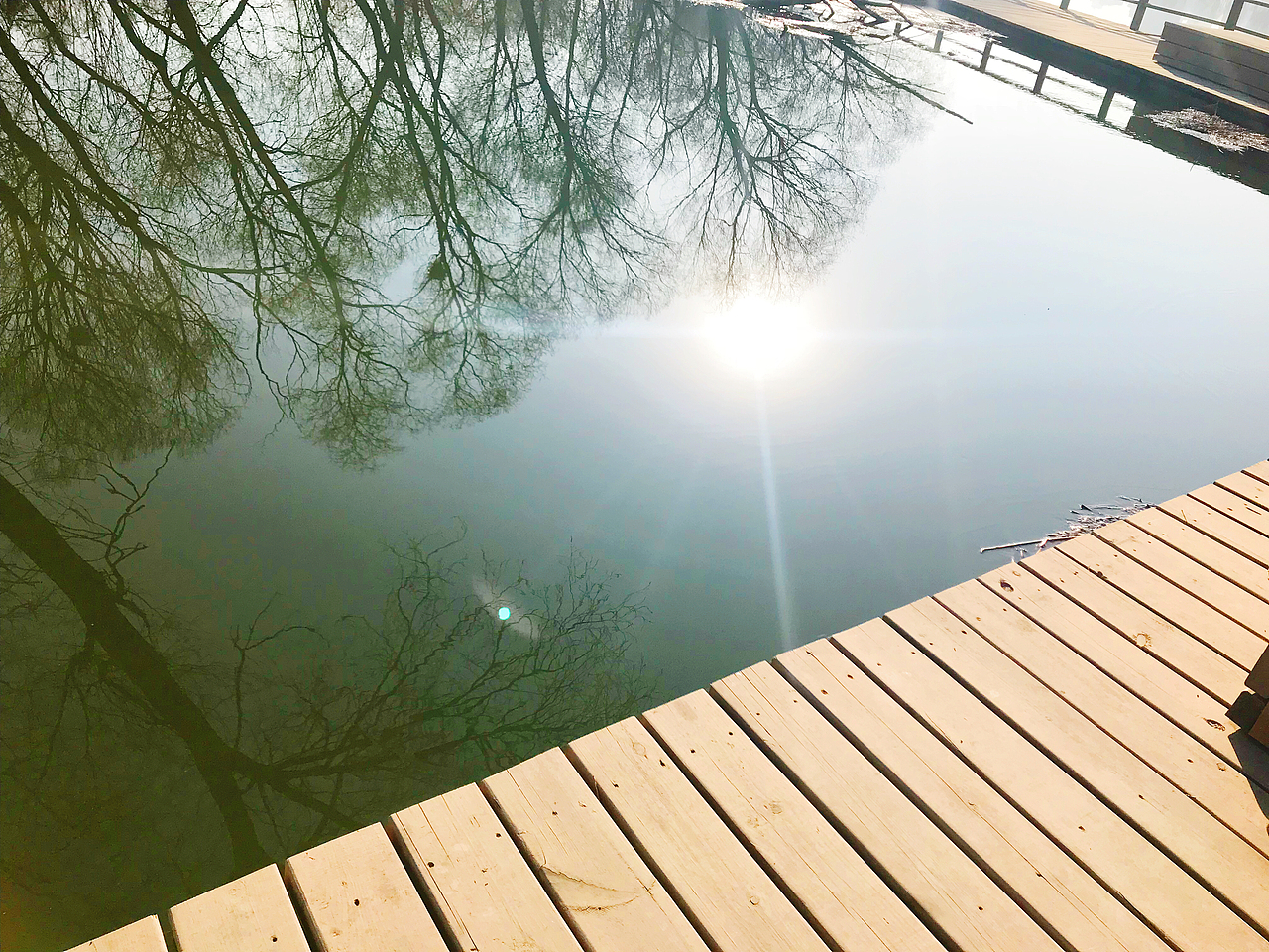 天然瑜伽地1f9d8♀️