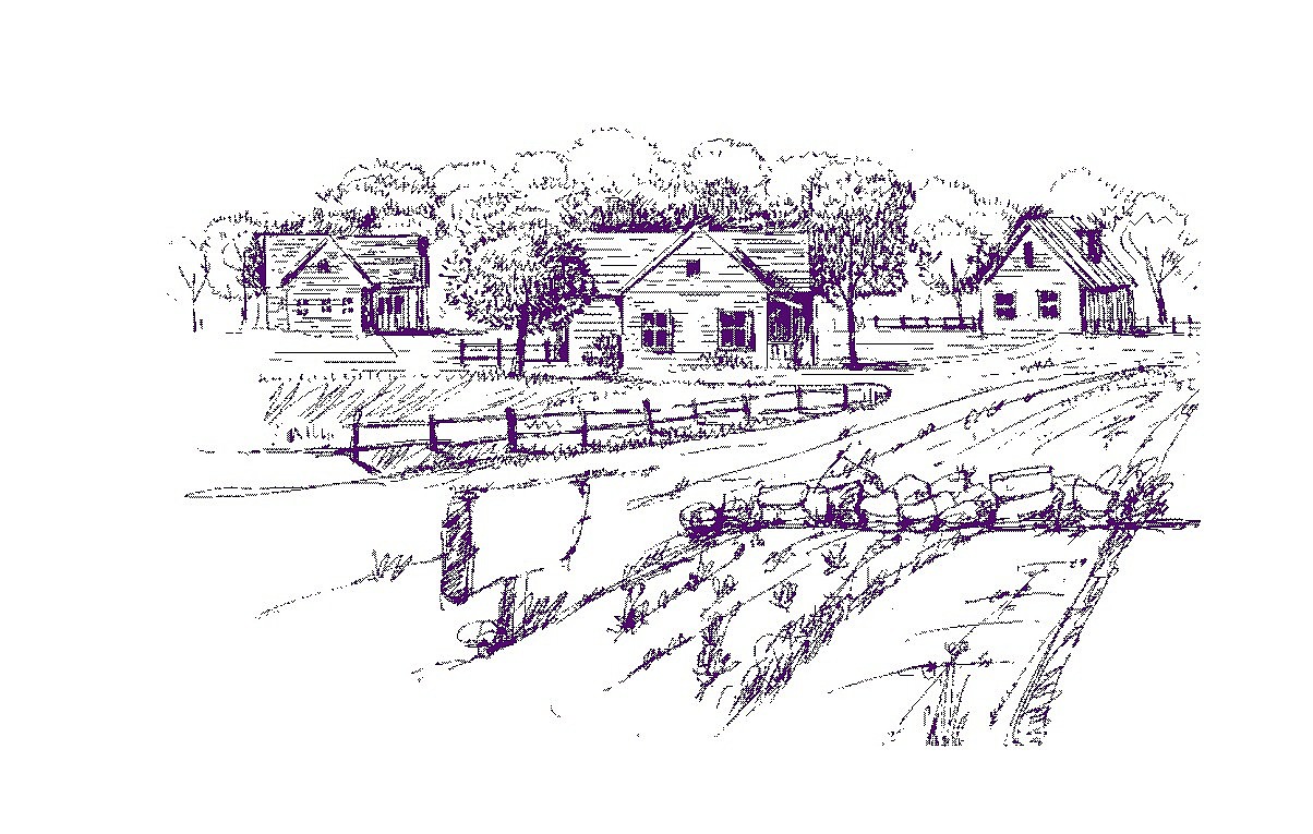 普兰斯庄园薰衣草洗化包装设计