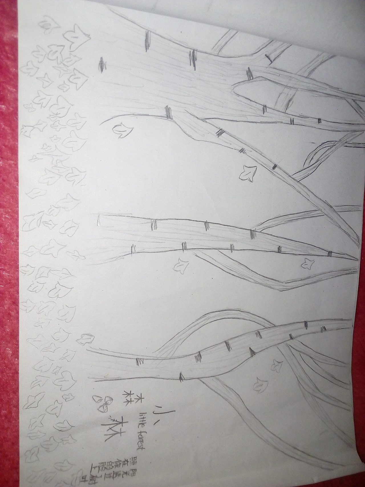 属于我自己的设计