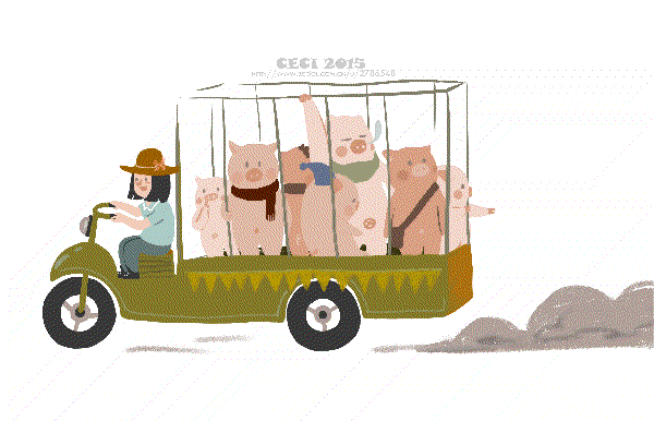 《你们是猪啊~》 最近尝试了一下动图 哇哈哈哈