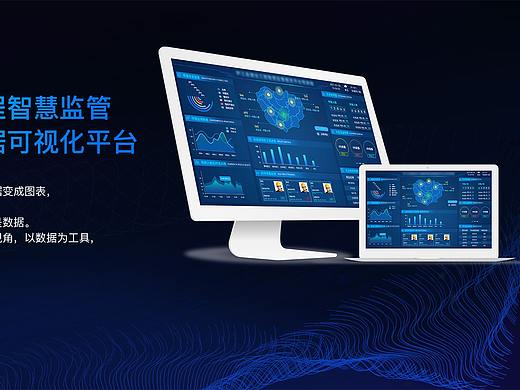 大数据可视化平台