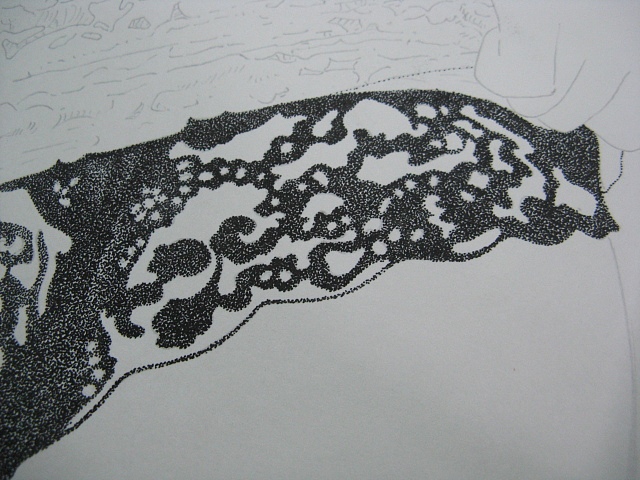 楚歌钢笔画-魅影（点画）55*40cm（图ZMTg5NTY1MTI=） - 绘画 - 站酷设计师楚歌76原创素材 - 站酷ZCOOL