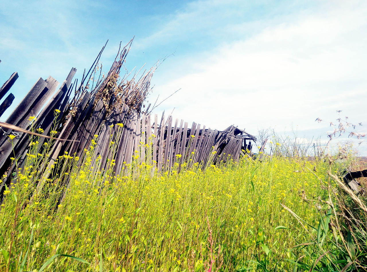 小清新啊小清新，有木有