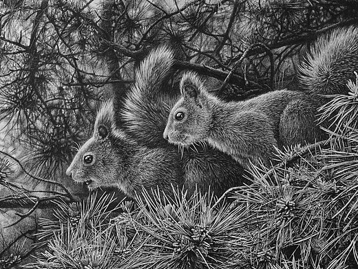 任保海钢笔画作品《松荫撷趣》