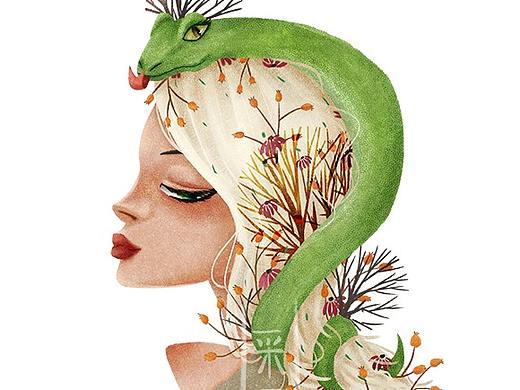 人物头像和动物