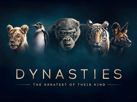 DYNASTIES WEBSITE