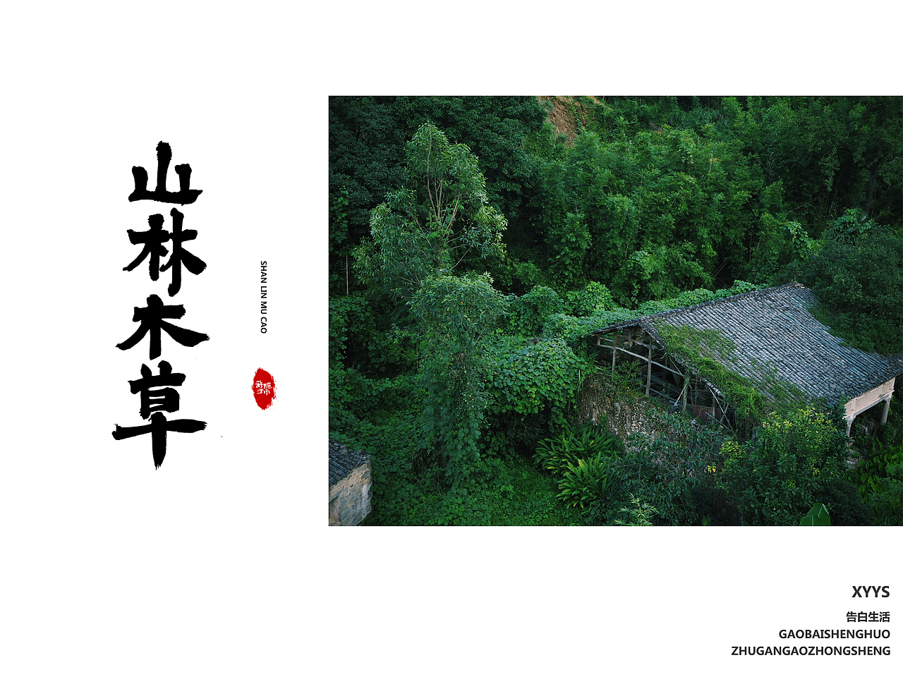 景中字 | 我看着美丽与忧伤,这就是生活的模样