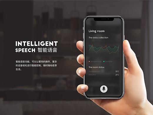 智能语音/智能家居
